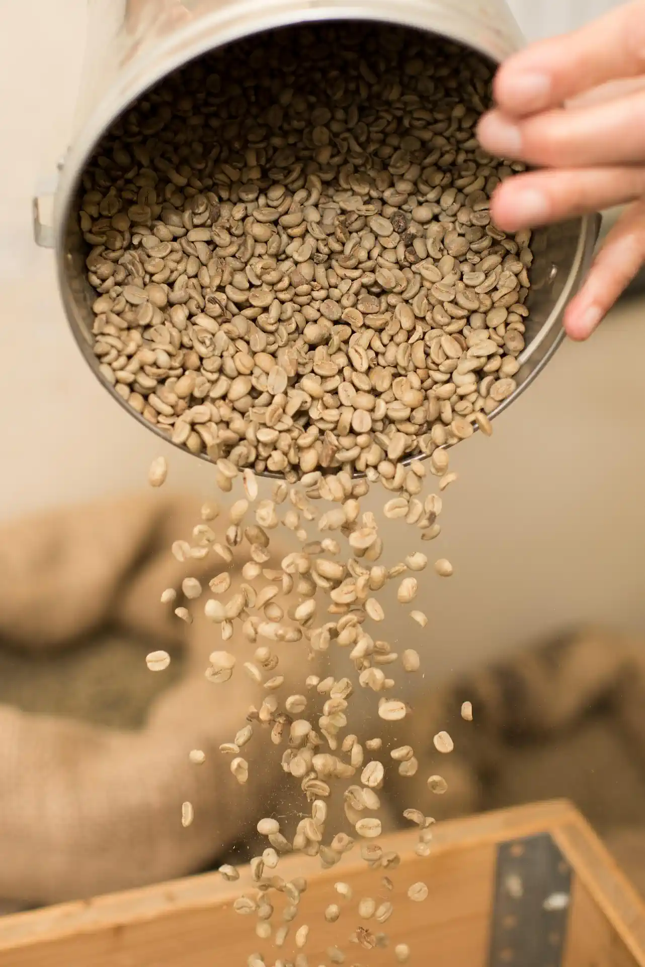 Our Green Coffee Beans